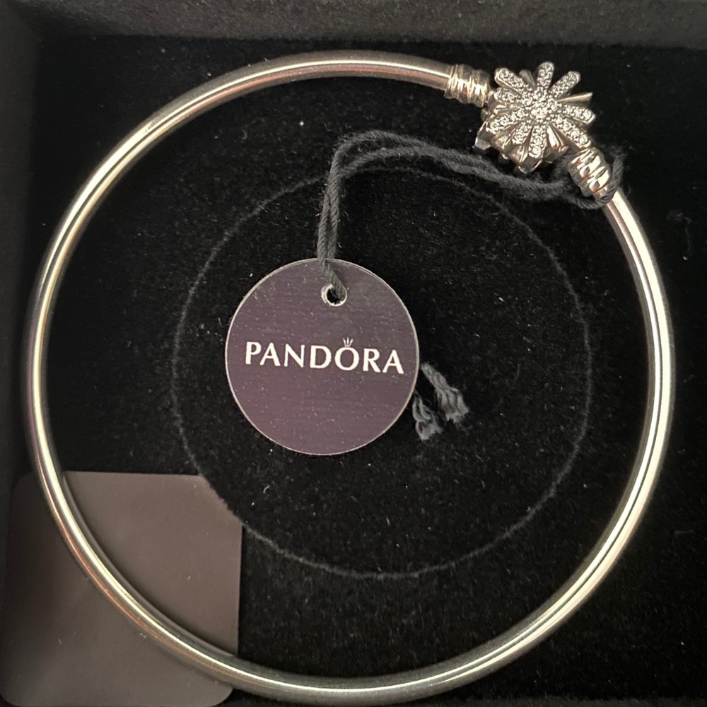 Pandora bangle snowflake clasp limited edition